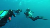 Egypt_2014_02_N21