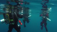Bild_08