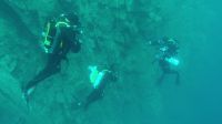 Bild_13